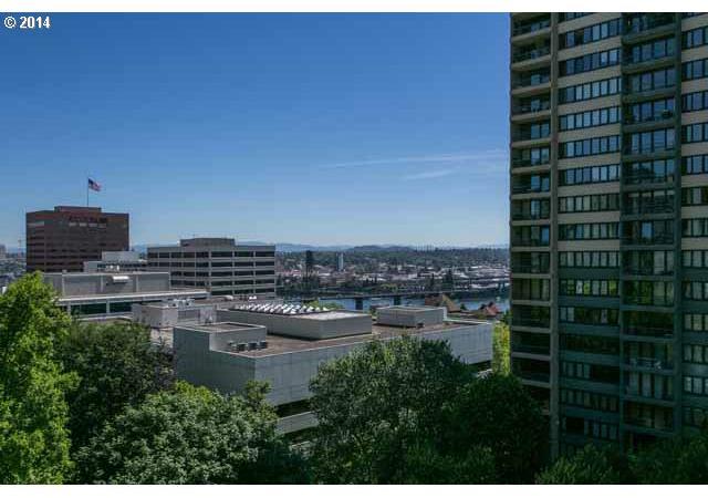 255 Southwest Harrison Street, Unit 10H Portland, OR 97201 - Photo 10 of 16 Gallery Image 10