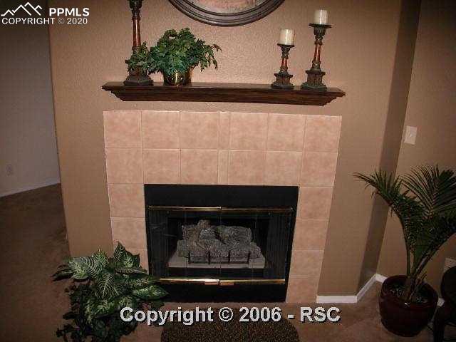 3835 Strawberry Field Grove, Unit H Colorado Springs, CO 80906 - Photo 7 of 8 Fireplace
