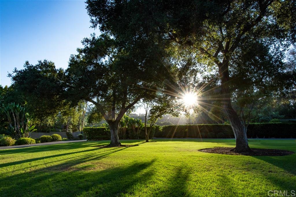 16043 Via Del Alba Rancho Santa Fe, CA 92067 - Photo 5 of 23