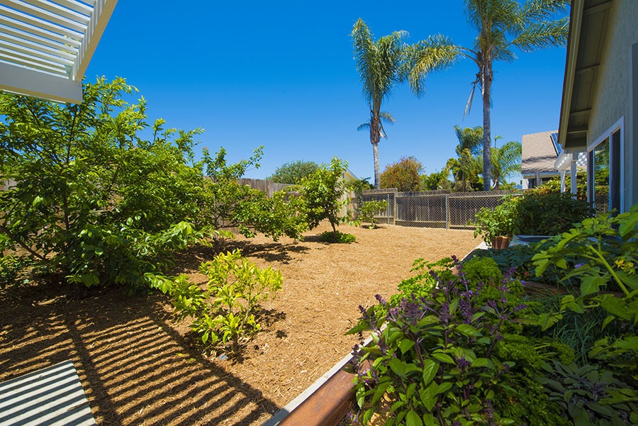 158 Rodney Avenue Encinitas, CA 92024 - Photo 22 of 25