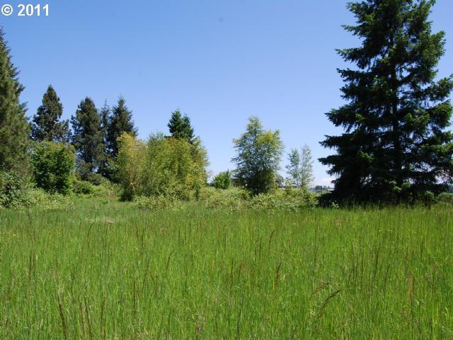 0 Checkerboard Road Northeast, Unit 900 Gervais, OR 97026 - Photo 1 of 5