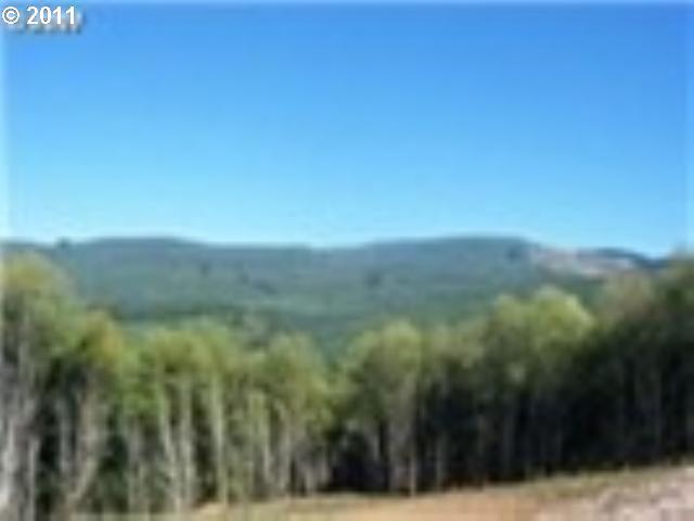 5344 Rose Valley Road, Unit LOT 2 Kelso, WA 98626 - Photo 2 of 4 Gallery Image 2