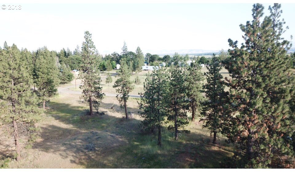 243 South Mike Road Tygh Valley, OR 97063 - Photo 18 of 18 Gallery Image 18