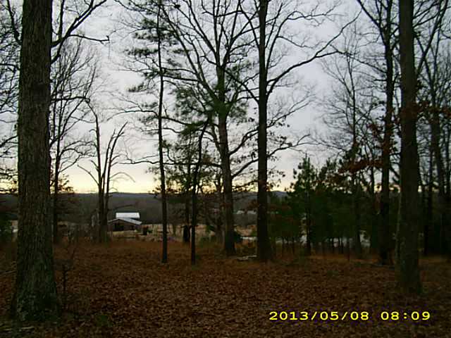 1470 Bingham Road Saltillo, TN 38370 - Photo 4 of 12 Gallery Image 4