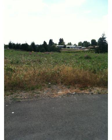 7625 Checkerboard Road Northeast Gervais, OR 97026 - Photo 4 of 11