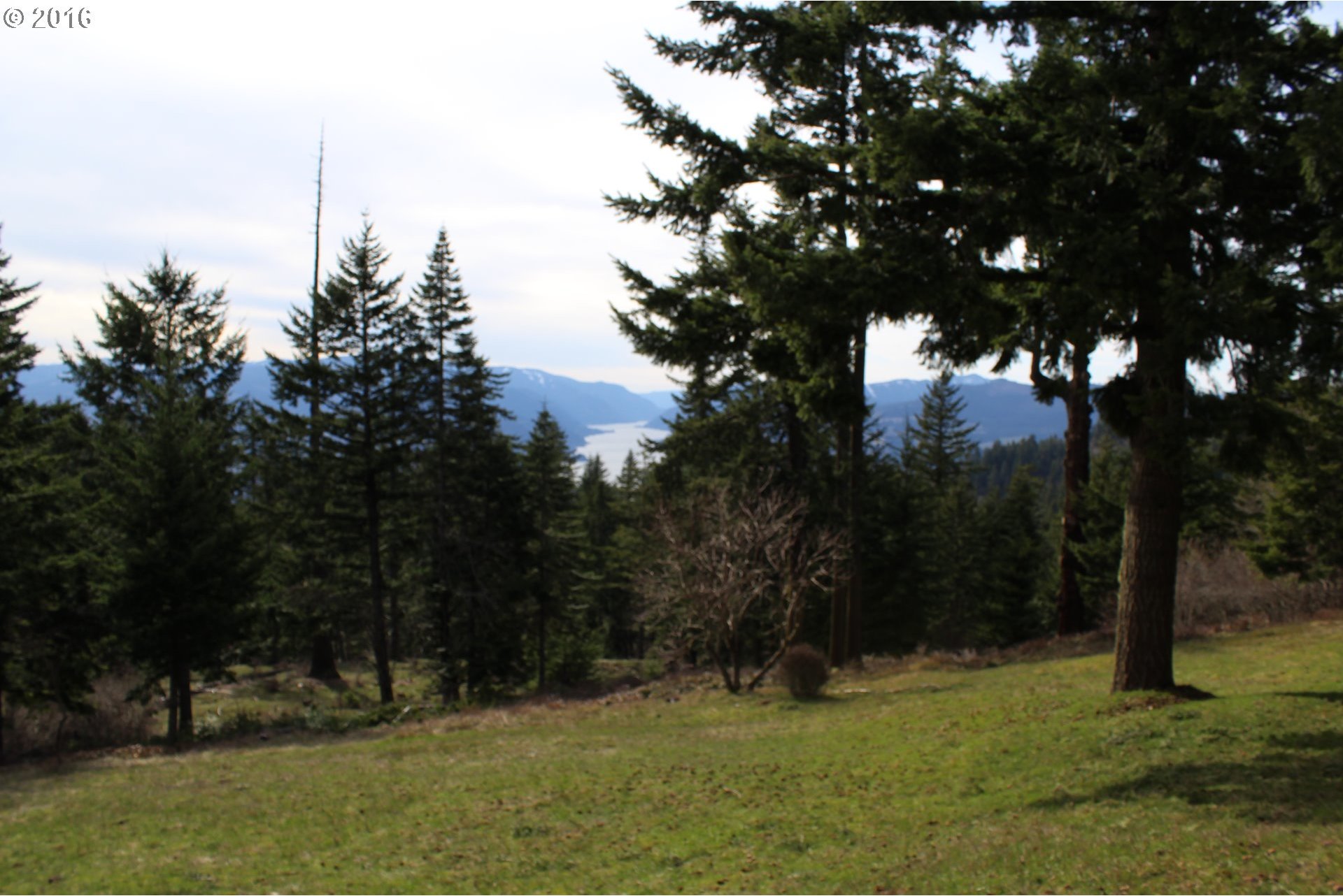 159 Tunnel Road White Salmon, WA 98672 - Photo 2 of 10