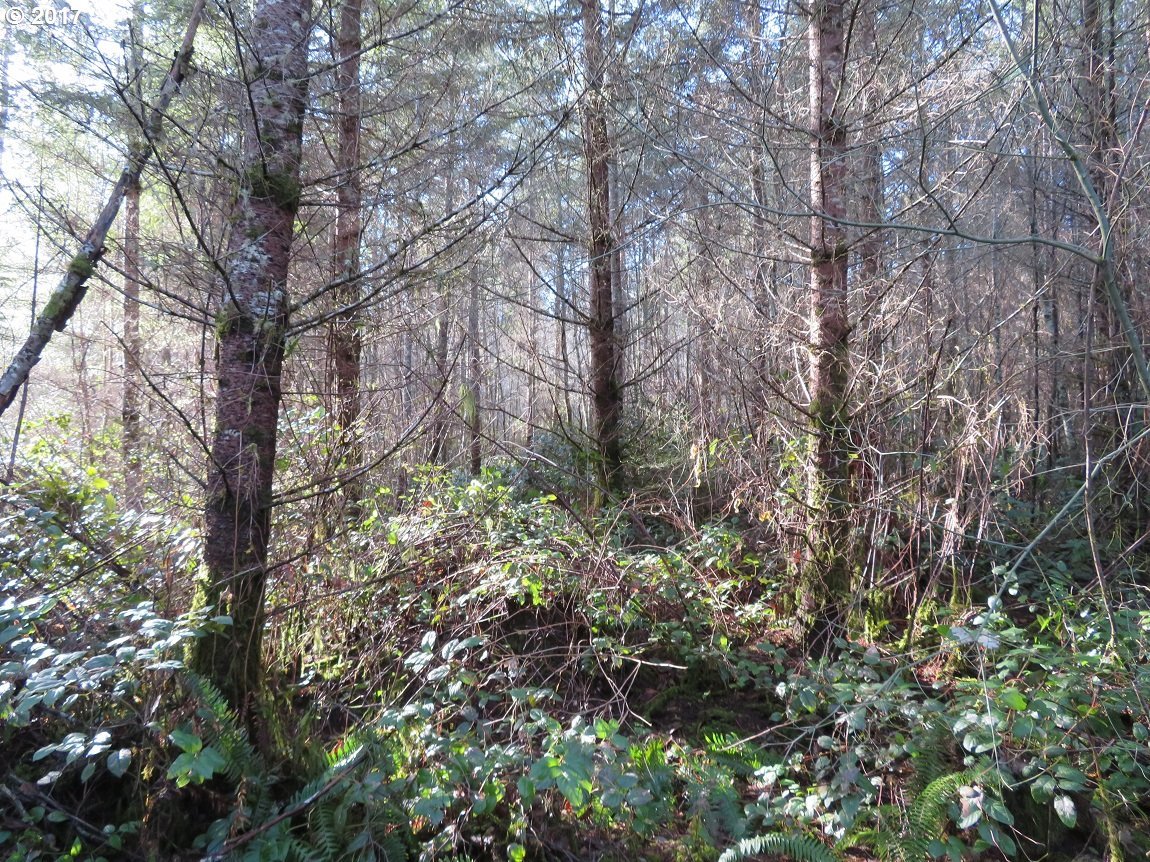 Cousins Road, Unit 3 Chehalis, WA 98532 - Photo 19 of 32