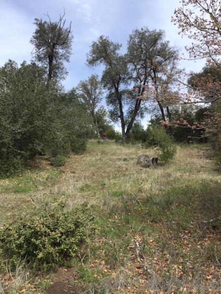 5765 Mount Meadow Road Julian, CA 92036 - Photo 6 of 10 Gallery Image 6