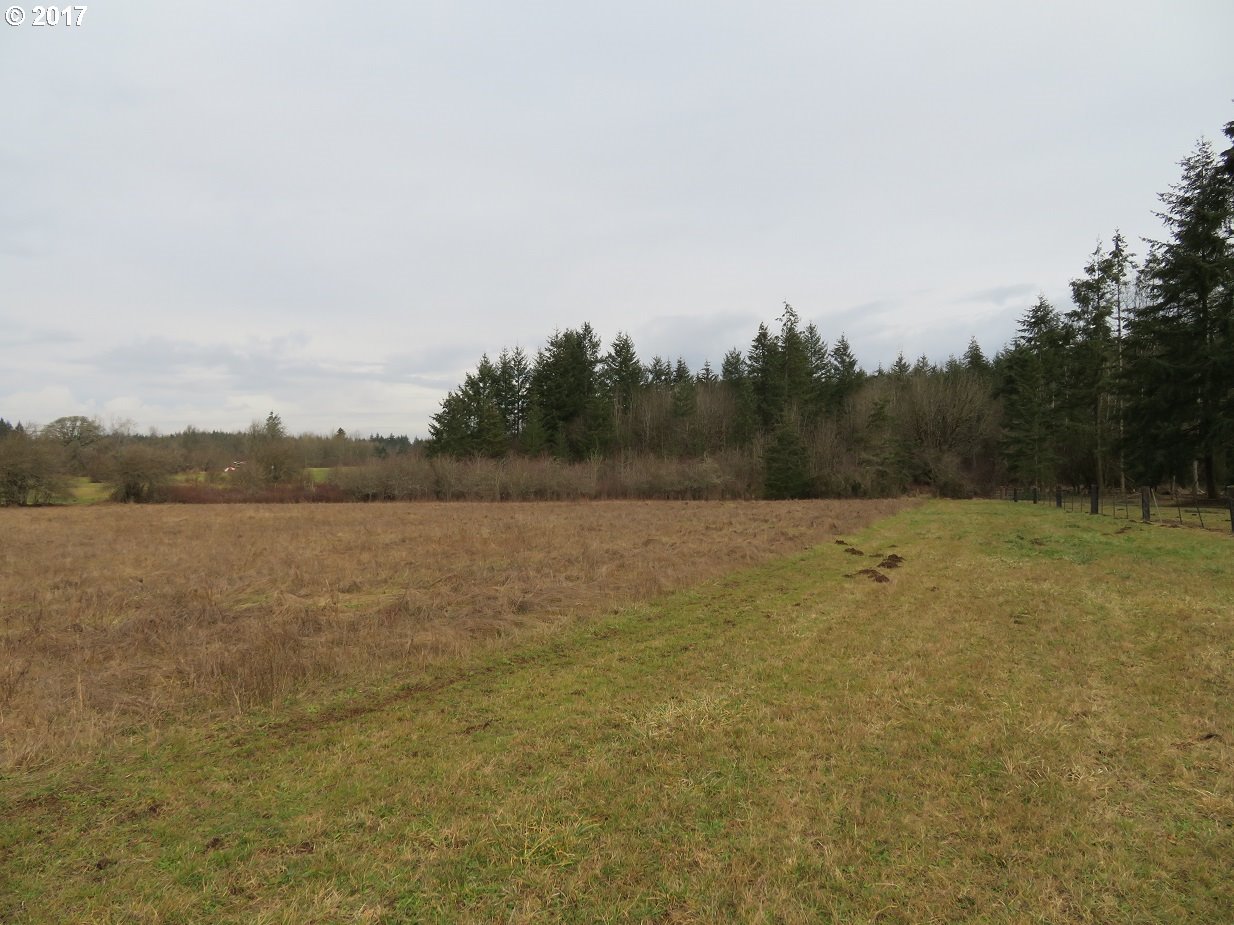 Bremgartner Road Winlock, WA 98596 - Photo 12 of 32