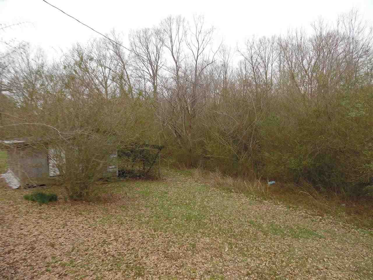 870 Gilchrist Stantonville Road Adamsville, TN 38310 - Photo 4 of 13 Gallery Image 4