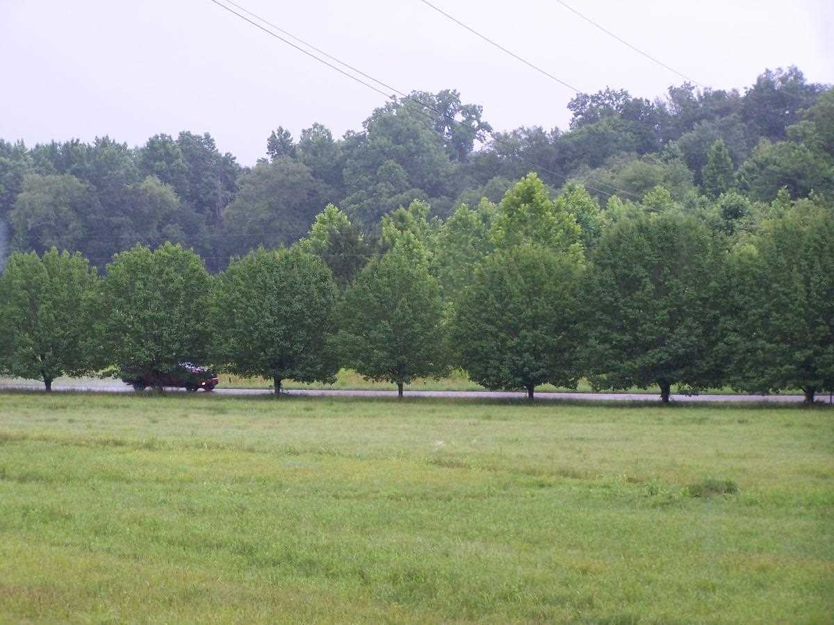 1095 Old Morris Chapel Road Adamsville, TN 38310 - Photo 13 of 14 Gallery Image 13