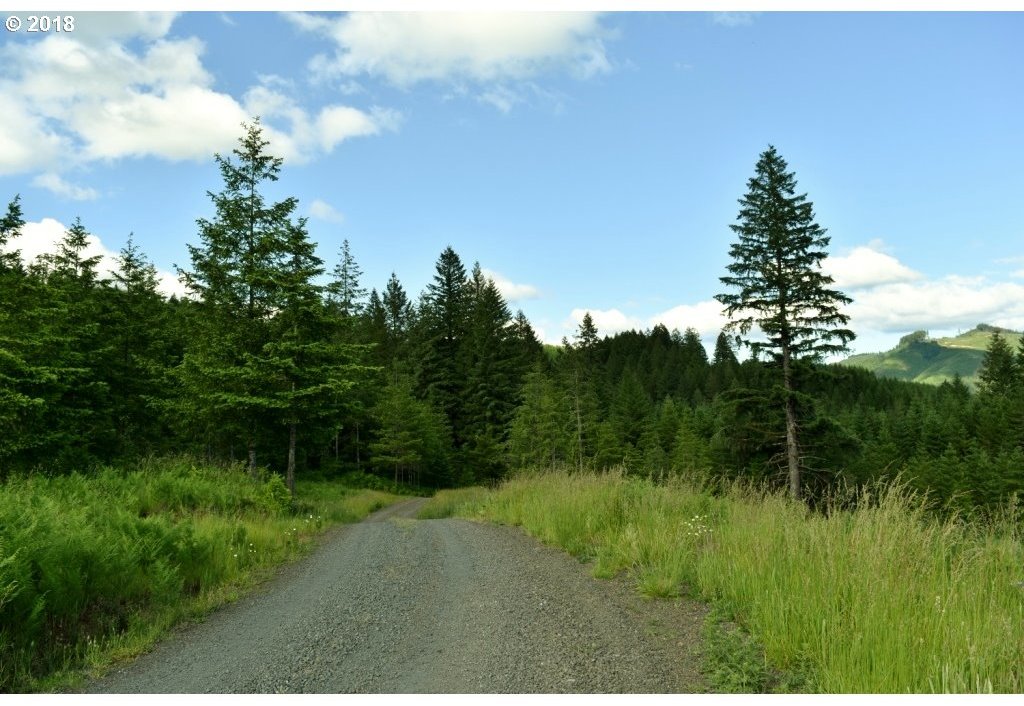 Sun Ranch Road Vida, OR 97488 - Photo 18 of 32 Gallery Image 18