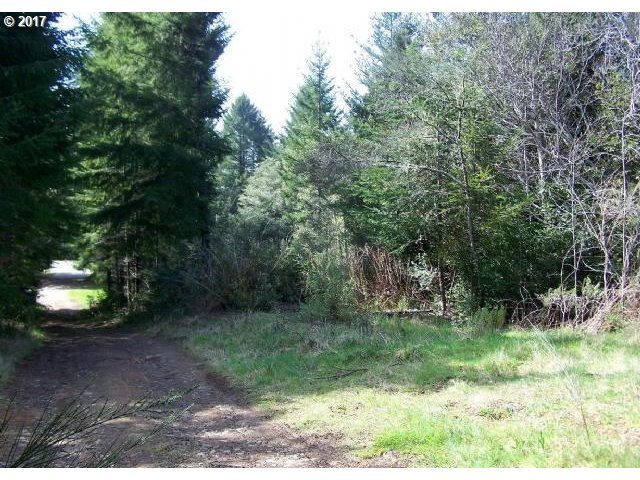 Henderson Road Brookings, OR 97415 - Photo 3 of 13 Gallery Image 3