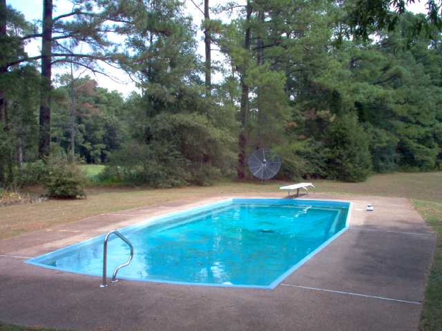 860 North Reid Hooker Road Eads, TN 38028 - Photo 9 of 9 Summer view of pool.