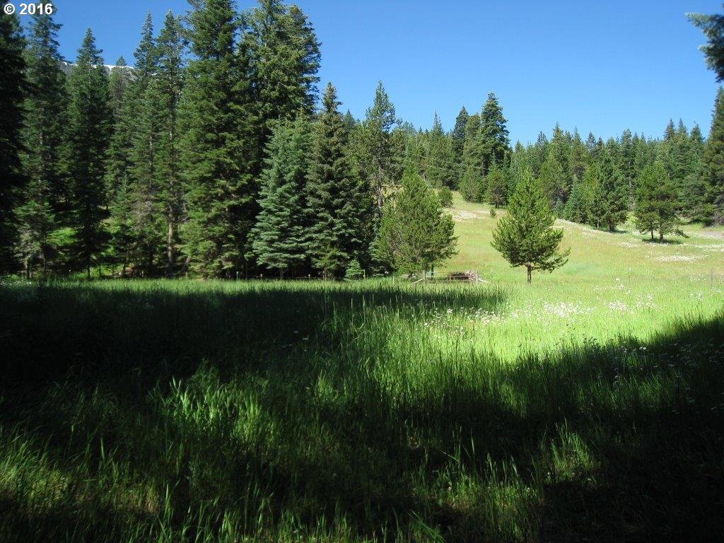 61099 Old Ski Run Road Joseph, OR 97846 - Photo 4 of 17 Gallery Image 4