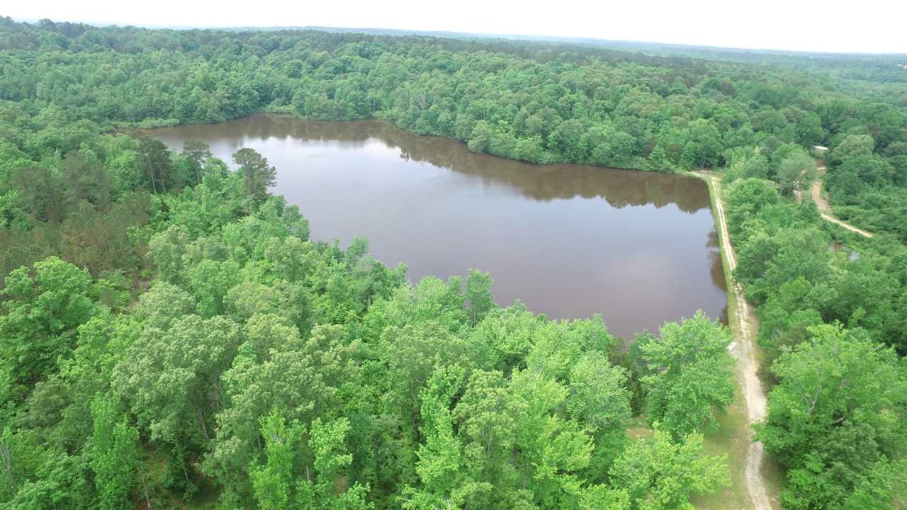 134 Hamilton Road Walnut, MS 38603 - Photo 4 of 18 Gallery Image 4