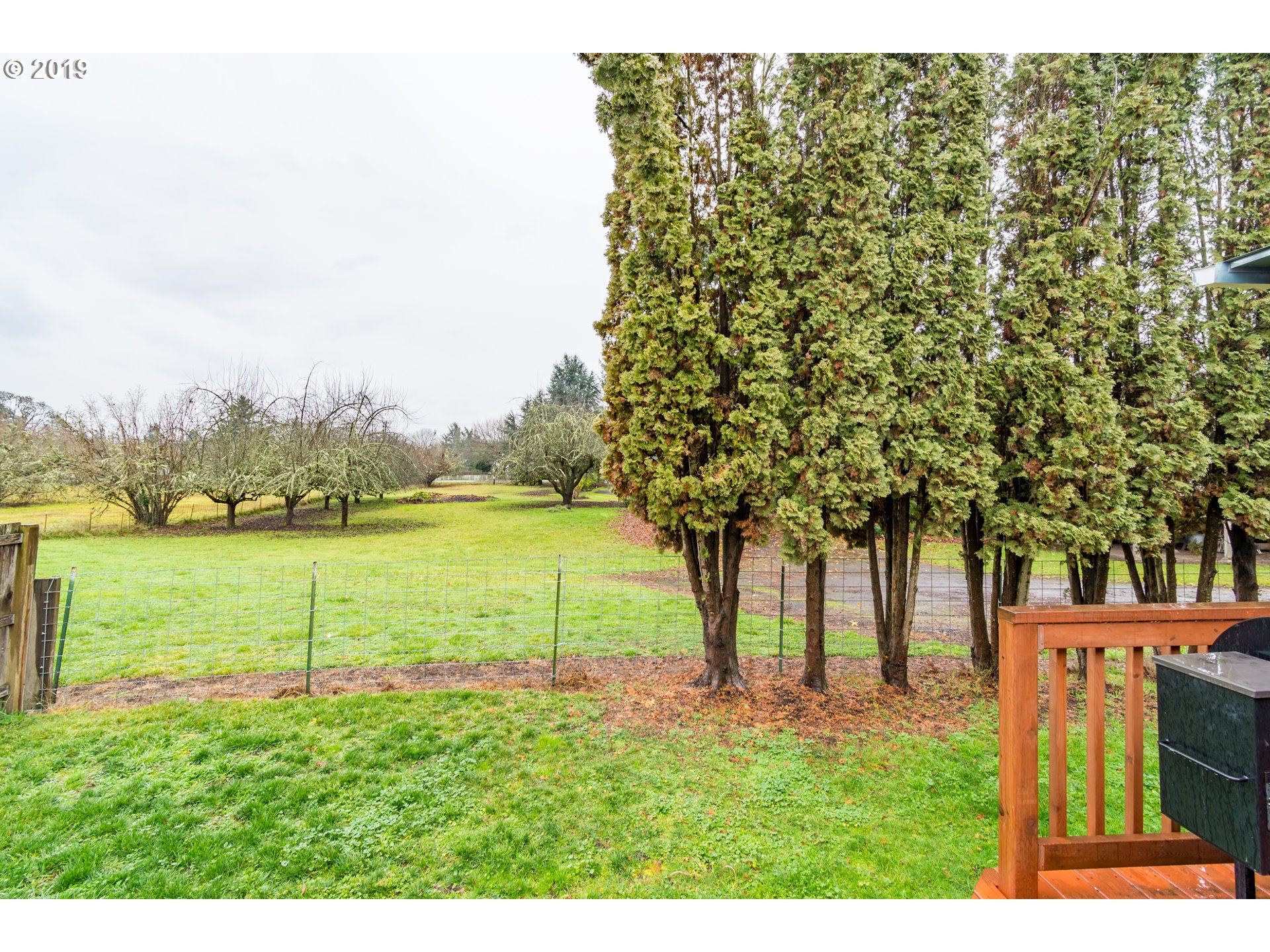 4585 Ivy Street Springfield, OR 97478 - Photo 29 of 32
