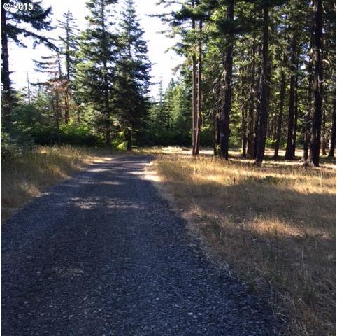 Prairie Road, Unit 54 Appleton, WA 98602 - Photo 14 of 16 Gallery Image 14