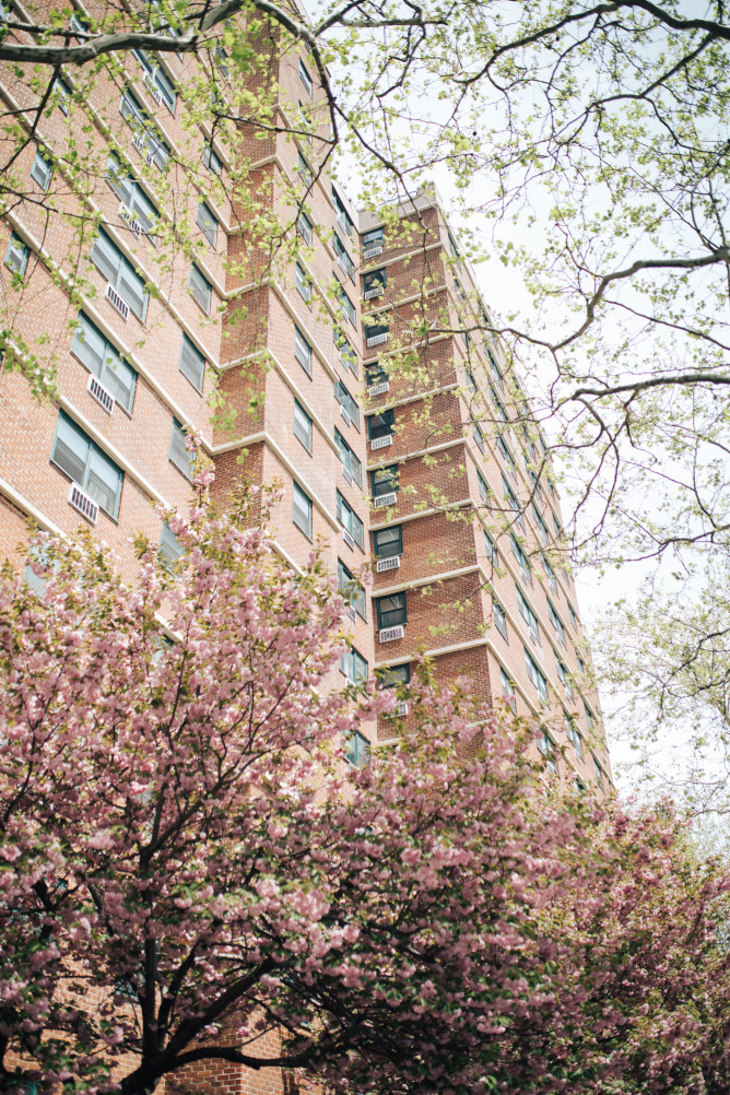 122 Ashland Place, Unit 10A Brooklyn, NY 11201 - Photo 7 of 11