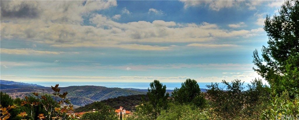 5 Veranda Newport Coast, CA 92657 - Photo 54 of 60