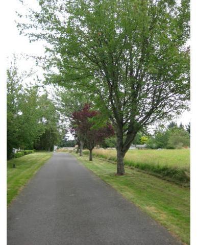 4115 Southeast Hillyard Road Gresham, OR 97080 - Photo 5 of 15 Gallery Image 5
