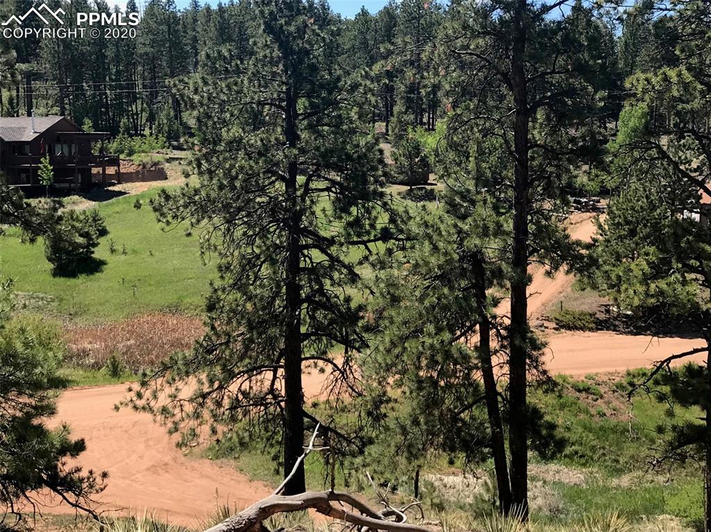 19 Ranch Road Woodland Park, CO 80863 - Photo 9 of 12