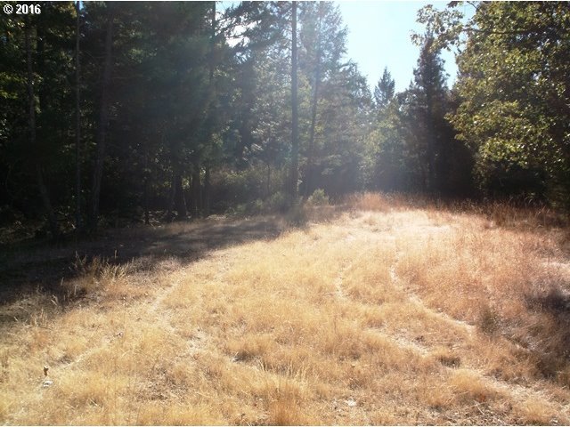 420 Sherier Road Cave Junction, OR 97523 - Photo 9 of 21