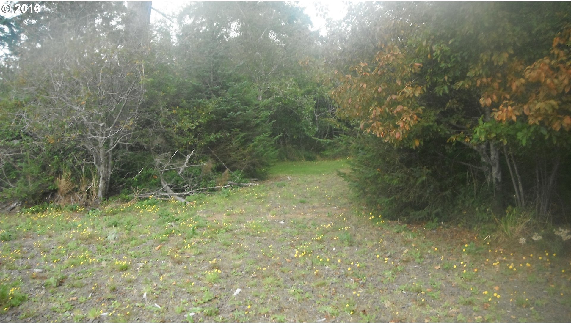 207 Bay Center Road South Bend, WA 98586 - Photo 14 of 20 Gallery Image 14