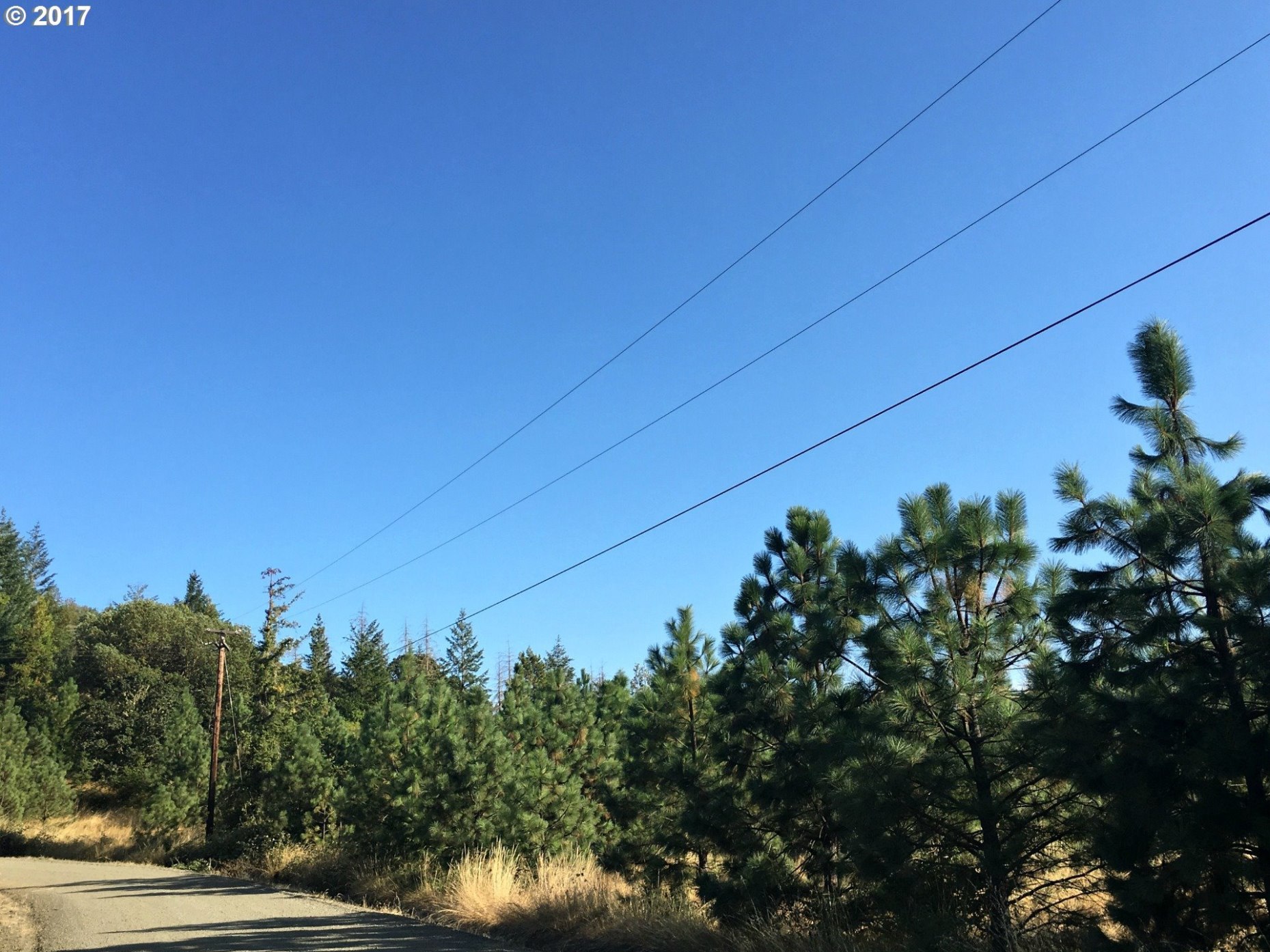 13239 Garden Valley Road Roseburg, OR 97471 - Photo 19 of 23 Gallery Image 19