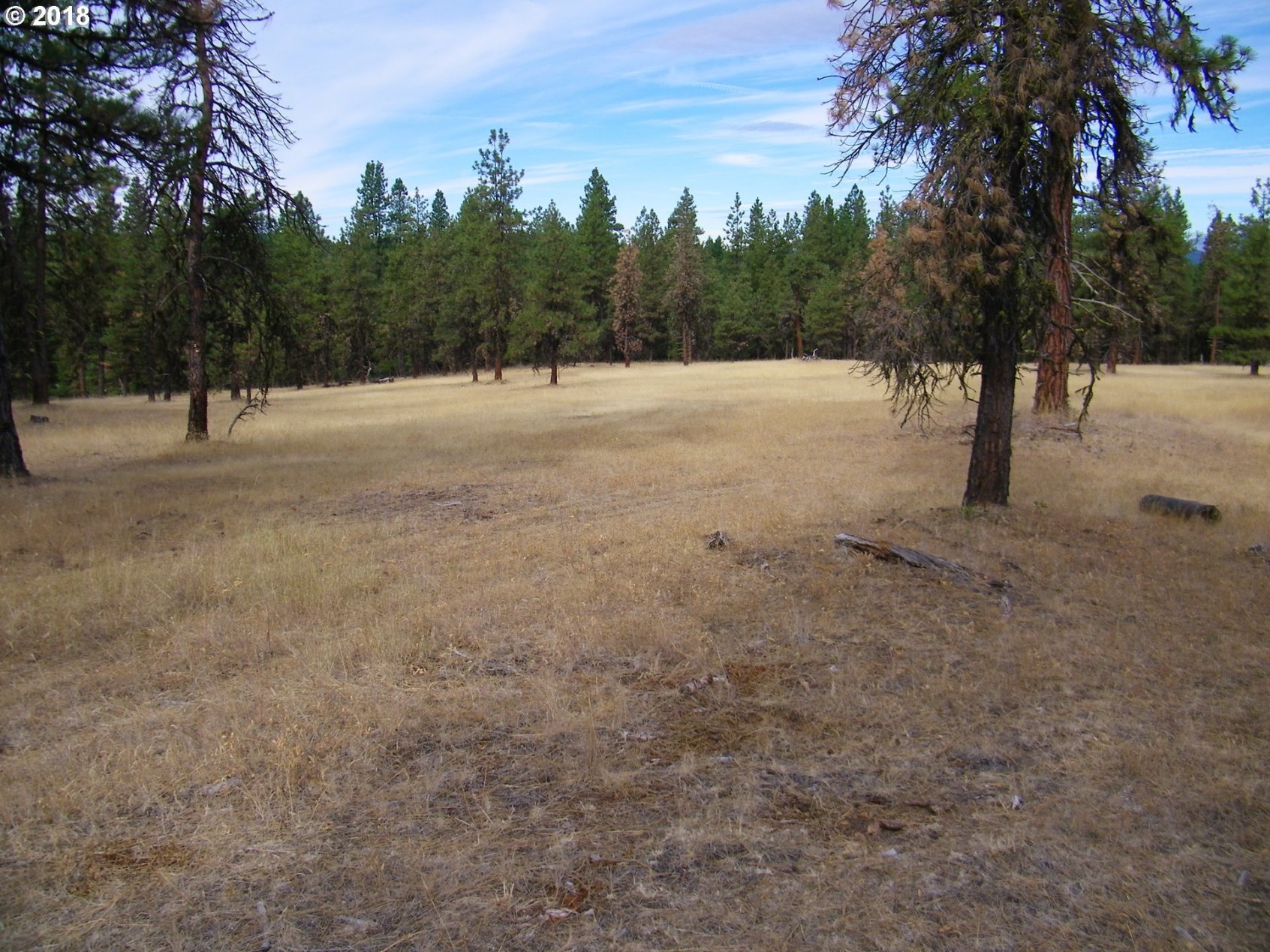 15 Old Grayback Road Goldendale, WA 98620 - Photo 9 of 14 Gallery Image 9