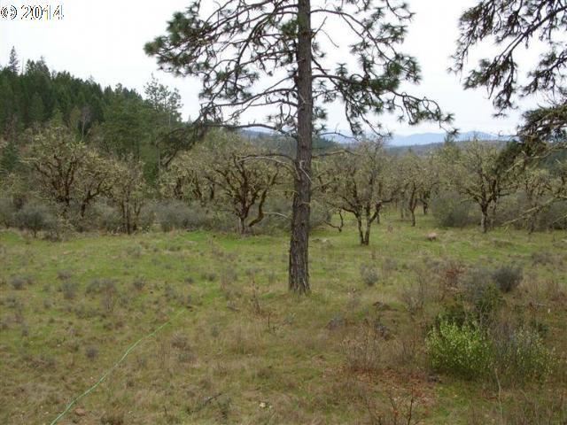 1090 Derby Road Eagle Point, OR 97524 - Photo 5 of 9 Gallery Image 5
