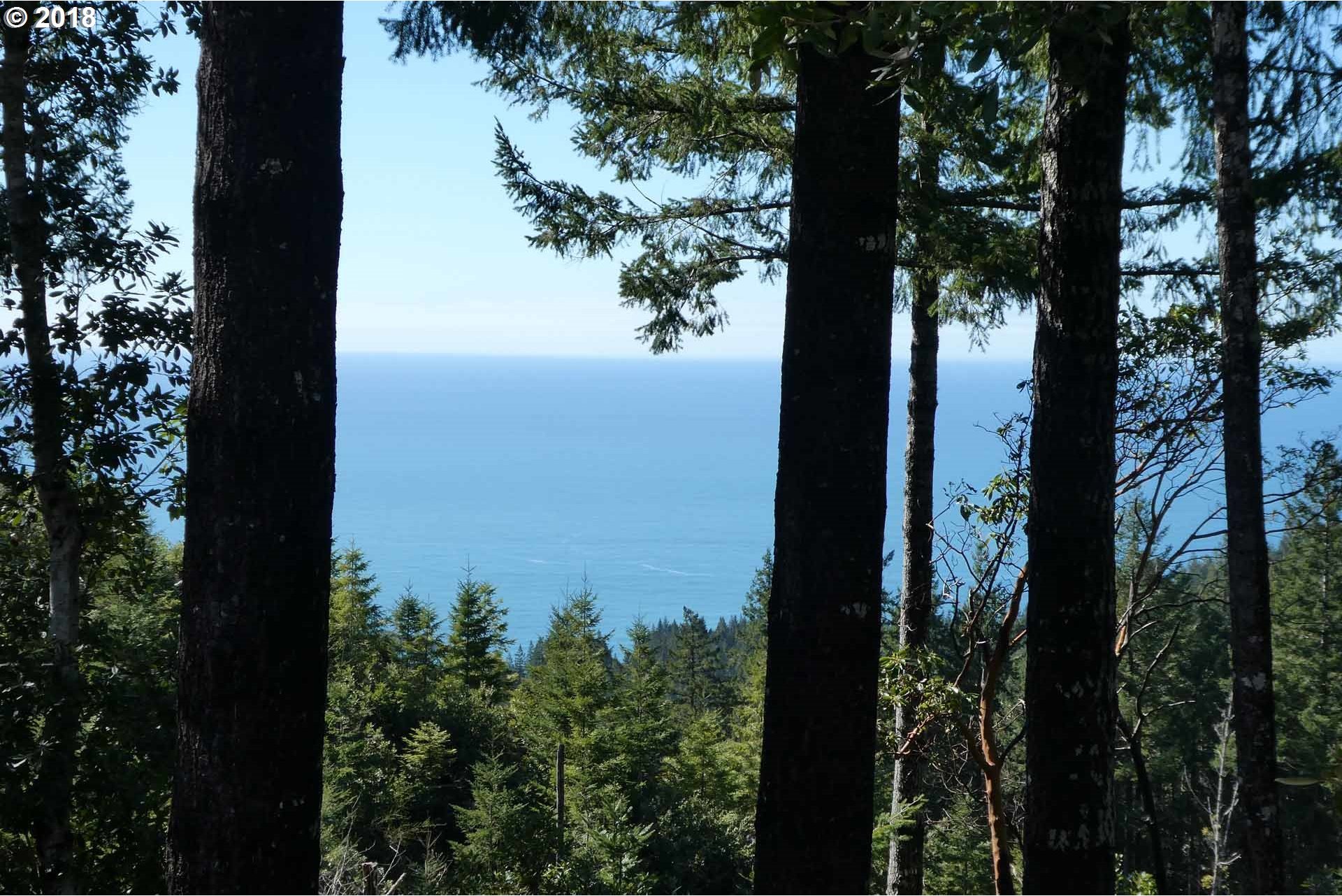 22745 Carpenterville Road Brookings, OR 97415 - Photo 11 of 32