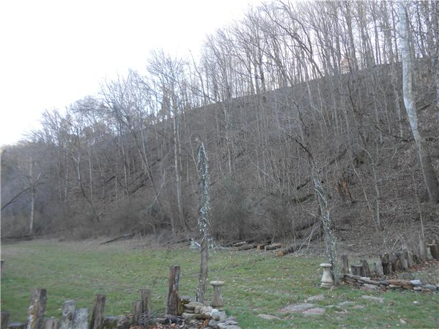 501 Long Branch Road Lawrenceburg, TN 38464 - Photo 3 of 22 PERFECT SETTING FOR WEDDINGS AND FAMILY GATHERINGS