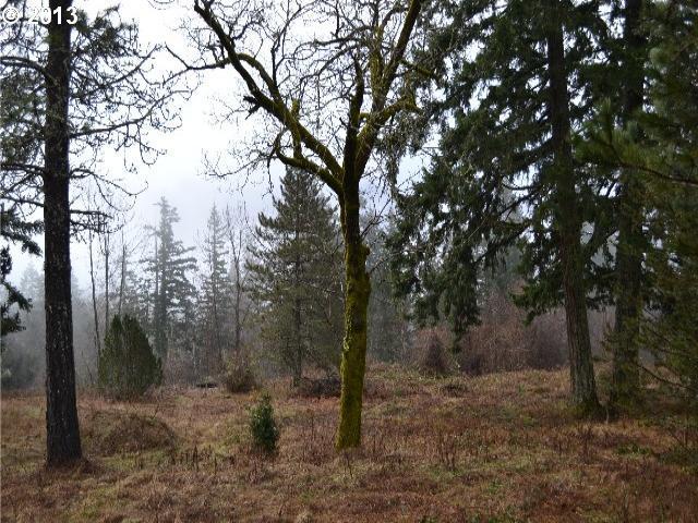 2 Maple Way Road, Unit 2 Stevenson, WA 98648 - Photo 4 of 6