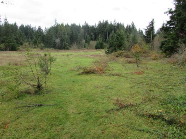 Skye Road Washougal, WA 98671 - Photo 1 of 11