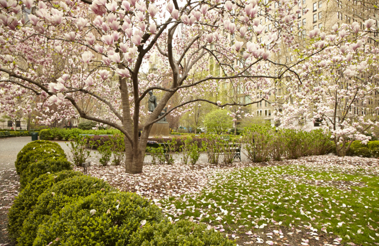 3 Gramercy Park West, Unit 1F Manhattan, NY 10010 - Photo 11 of 15