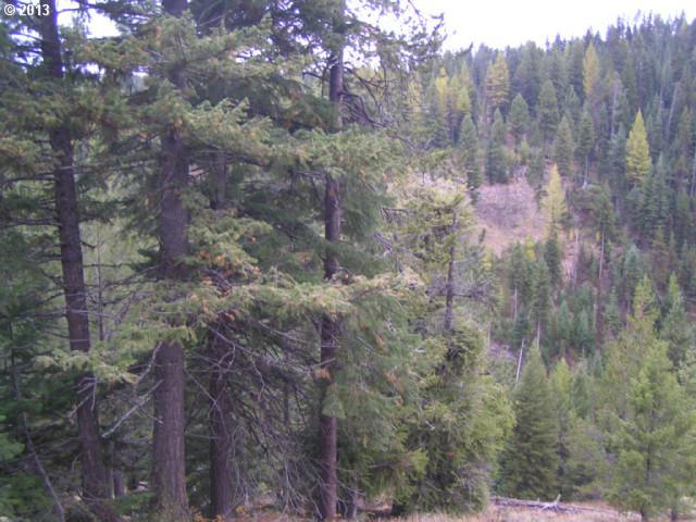 0 Lower Divide Road Joseph, OR 97846 - Photo 2 of 9