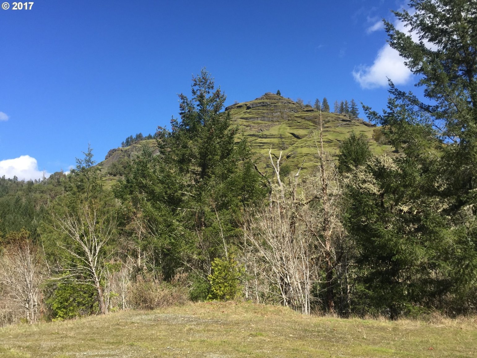 2880 Reston Road Roseburg, OR 97471 - Photo 8 of 28