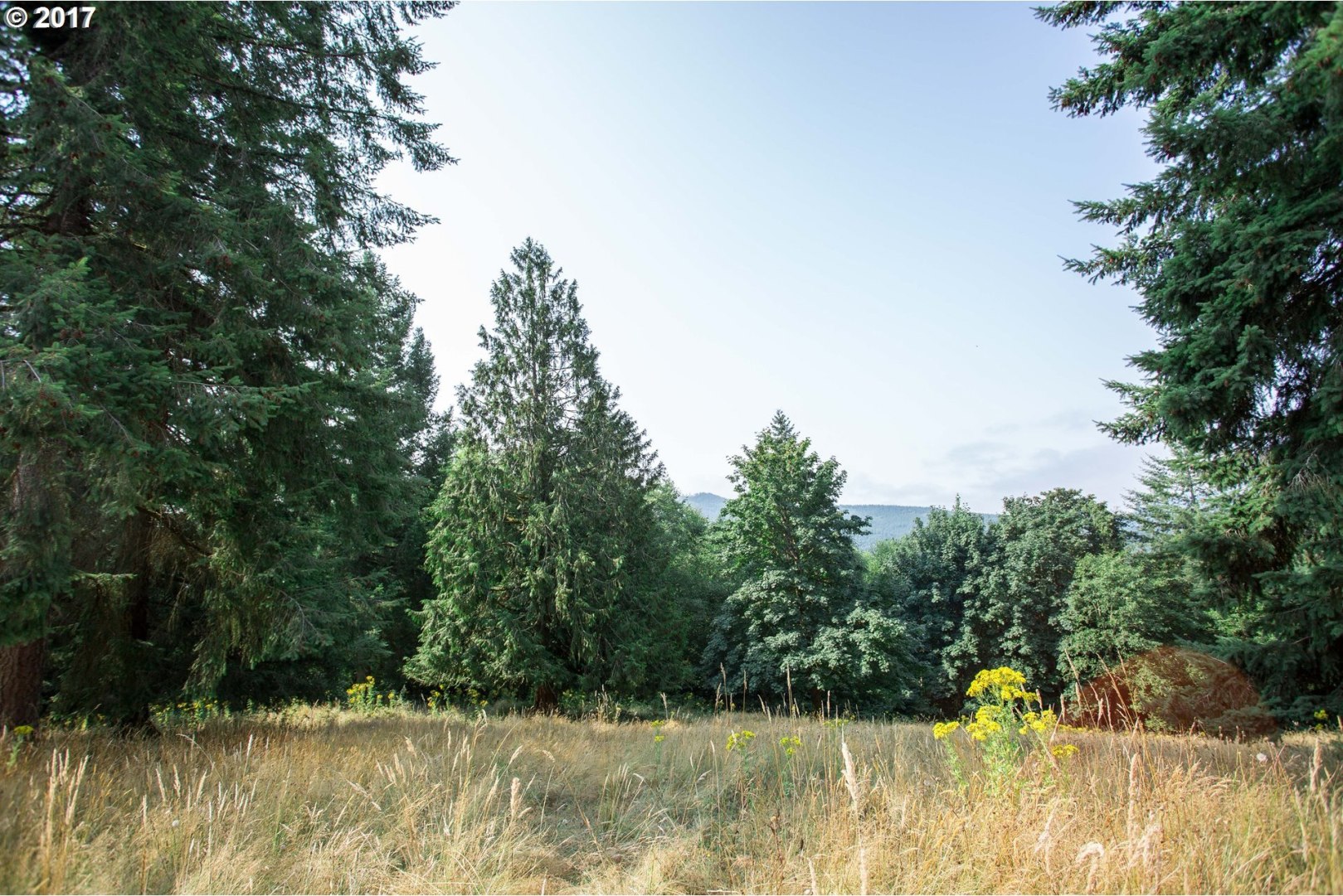 279 Maranatha Road Kelso, WA 98626 - Photo 22 of 23 Gallery Image 22