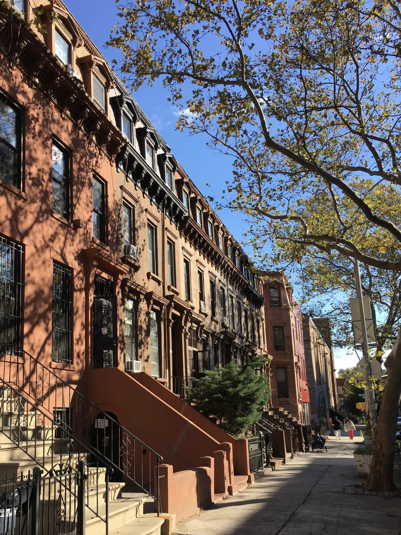 827 Marcy Avenue, Unit 1 Brooklyn, NY 11216 - Photo 8 of 10