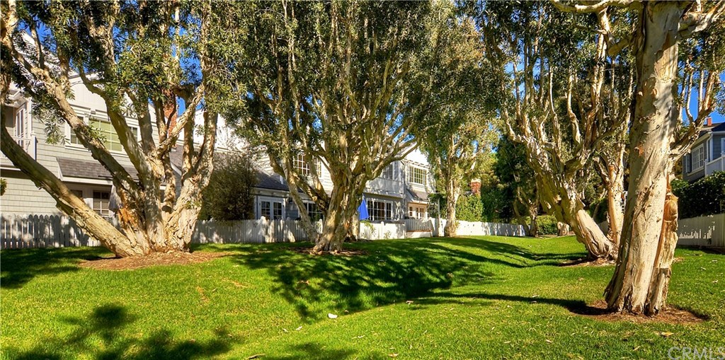 33906 Cape Cove Dana Point, CA 92629 - Photo 4 of 43