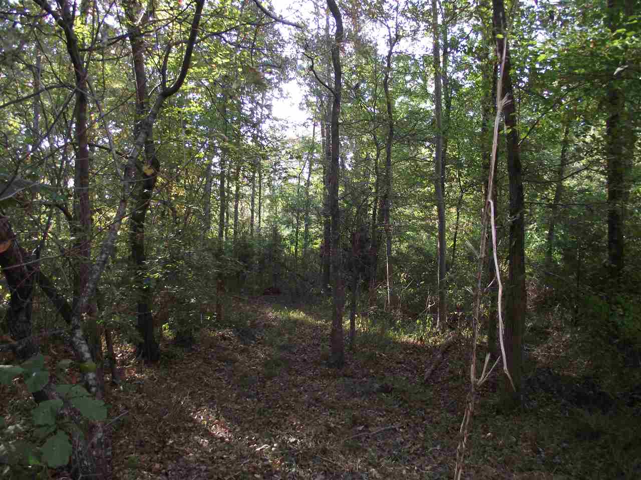 600 Chambers Store Road Michie, TN 38357 - Photo 9 of 18 Gallery Image 9