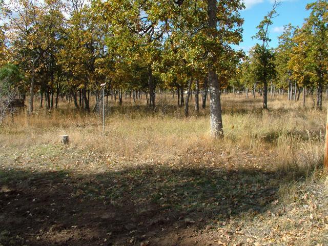 280 Old Mountain Road Goldendale, WA 98620 - Photo 11 of 12 Gallery Image 11