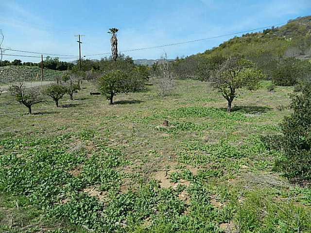 39758 Daily Road Fallbrook, CA 92028 - Photo 6 of 12