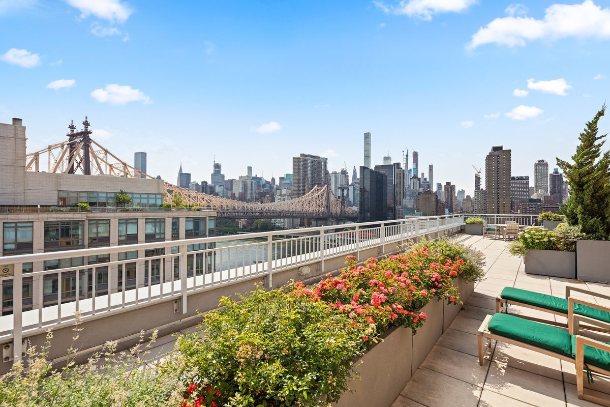 425 Main Street, Unit 10L Manhattan, NY 10044 - Photo 14 of 20