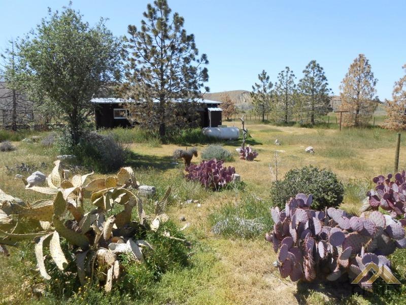 2400 Santa Barbara Canyon Road Maricopa, CA 93252 - Photo 18 of 20 Gallery Image 18