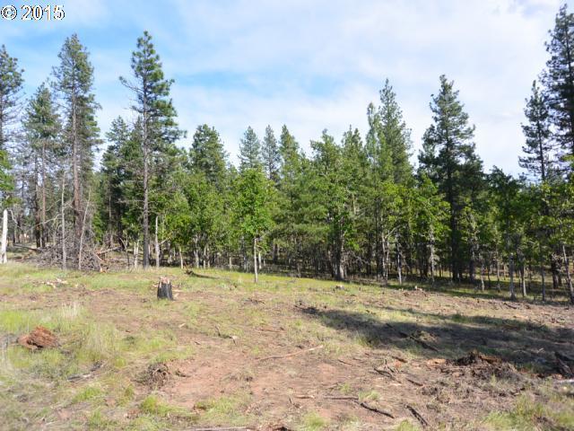 16 Buck Ridge Drive Goldendale, WA 98620 - Photo 1 of 7 Gallery Image 1
