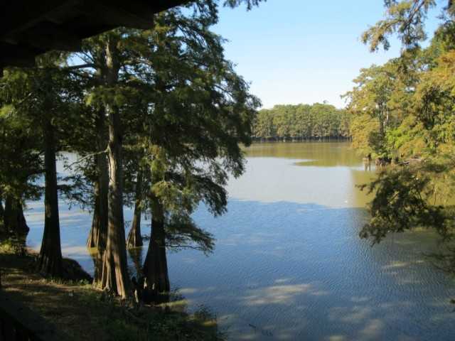 59 Chisholm Lake Spur Road Ripley, TN 38063 - Photo 3 of 12 Wondeful view from the house!