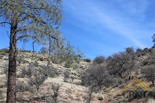 0 Franceschi Road Caliente, CA 93518 - Photo 10 of 16