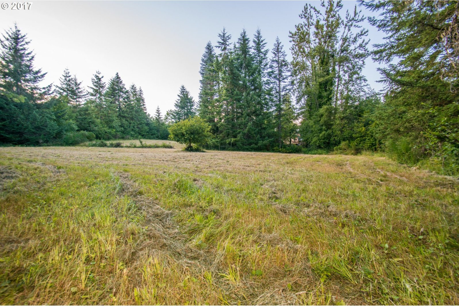 26405 Northwest Timber Road Forest Grove, OR 97116 - Photo 30 of 32 Gallery Image 30